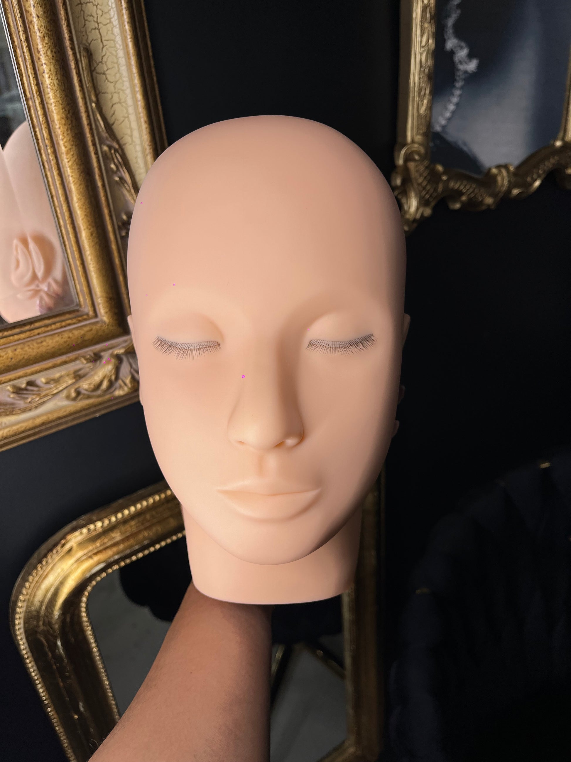 Real Life Mannequin Head
