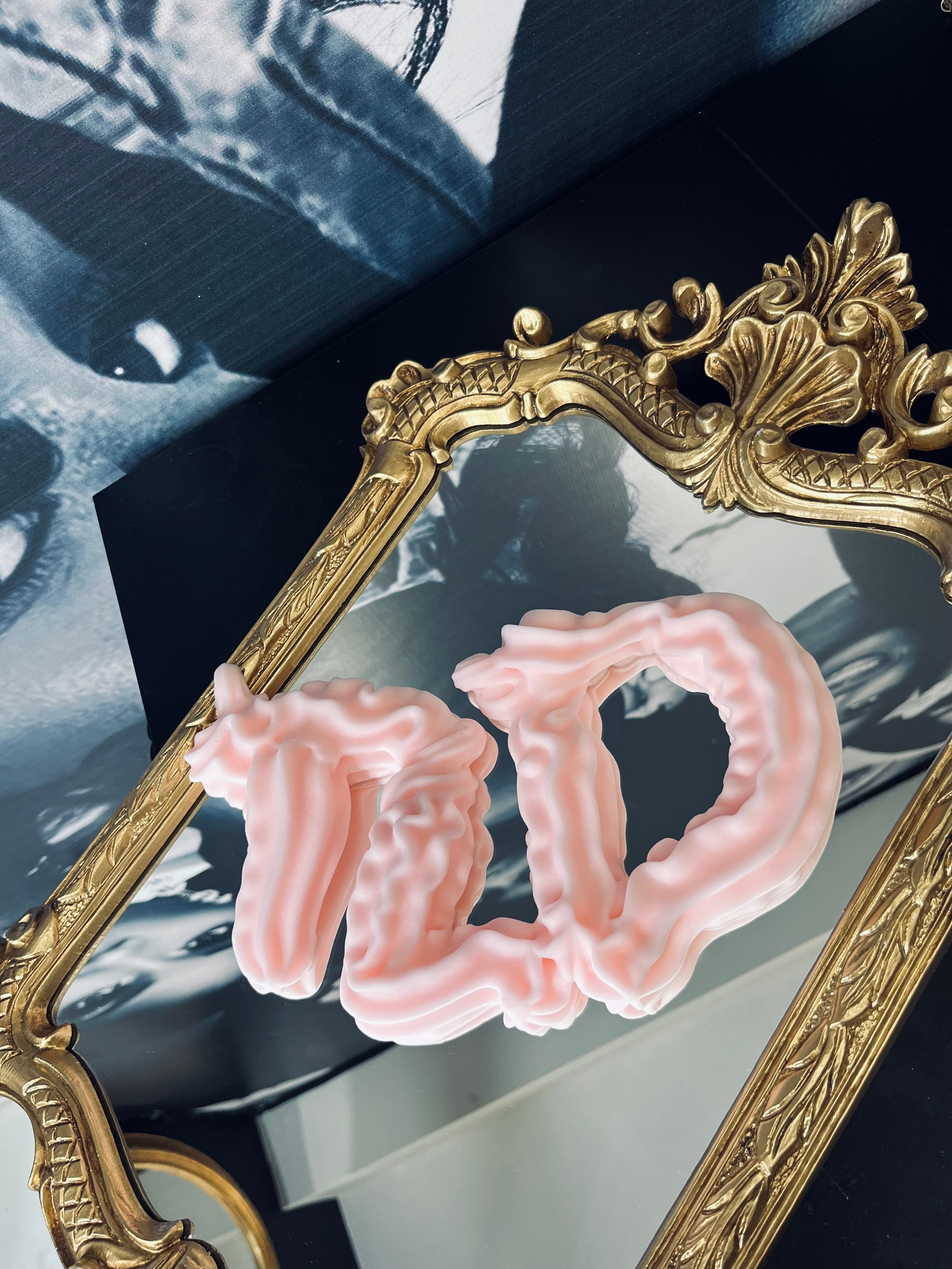 Whip Lash Foaming Lash Shampoo