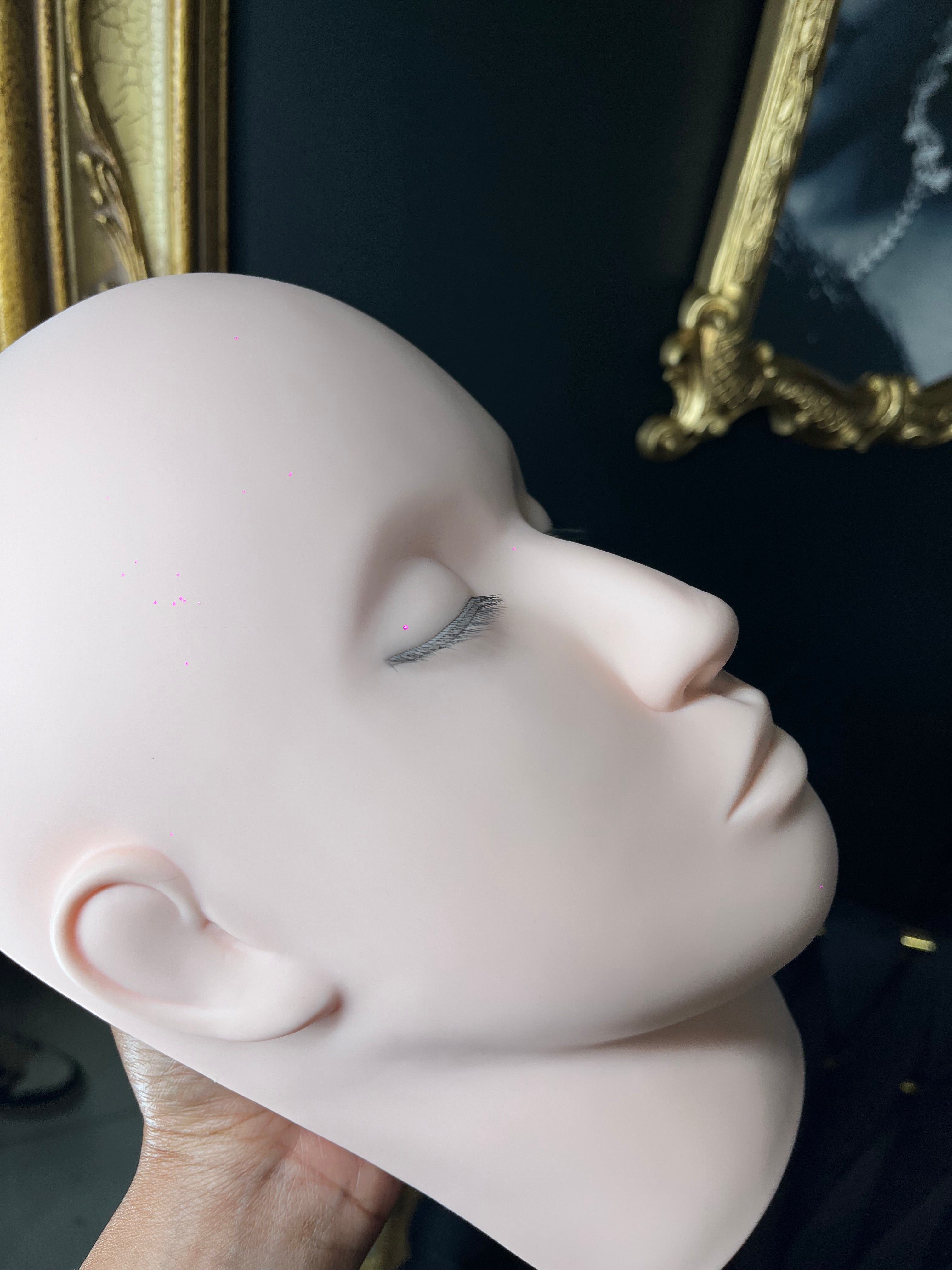 Real Life Mannequin Head