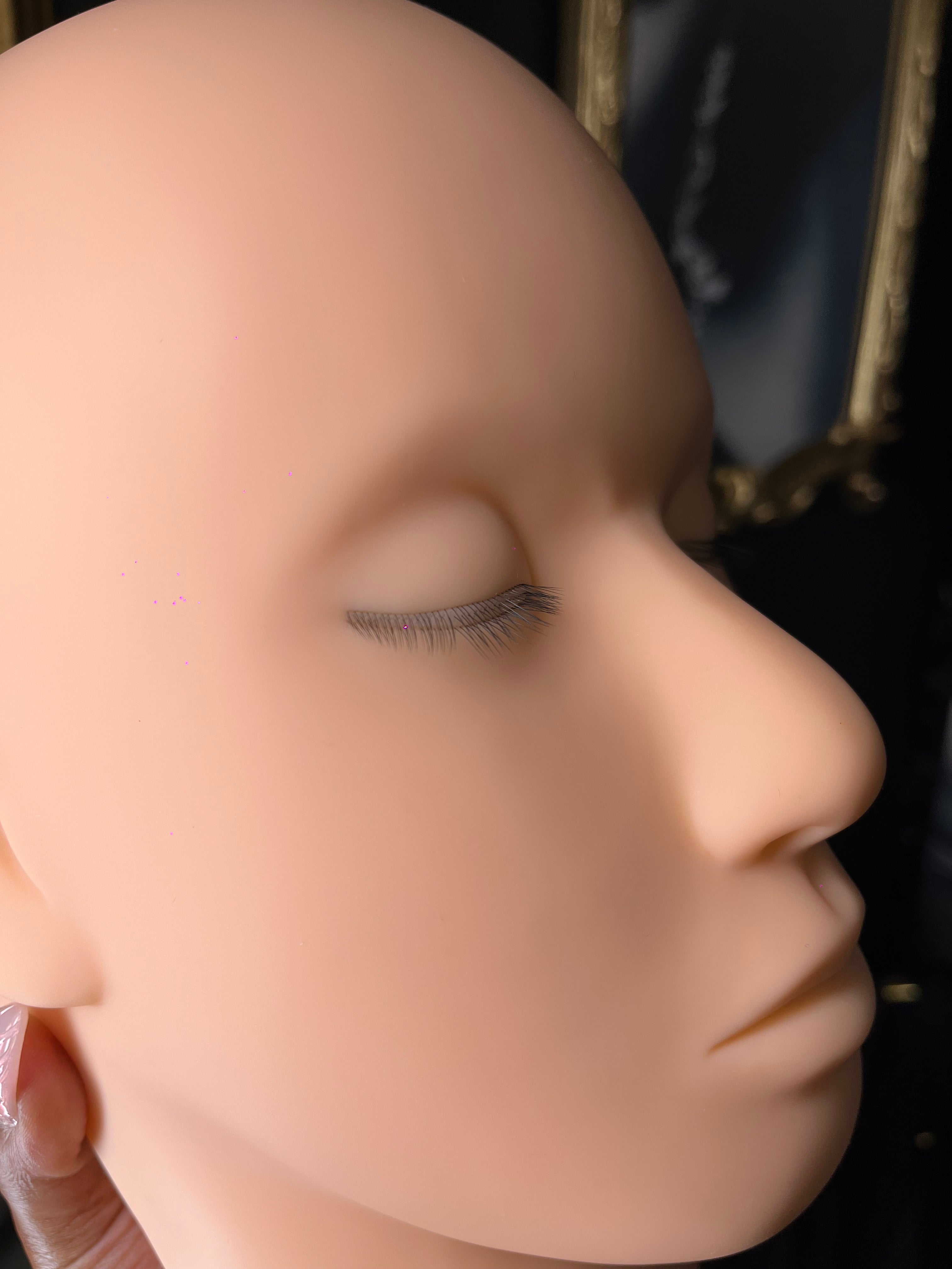 Real Life Mannequin Head