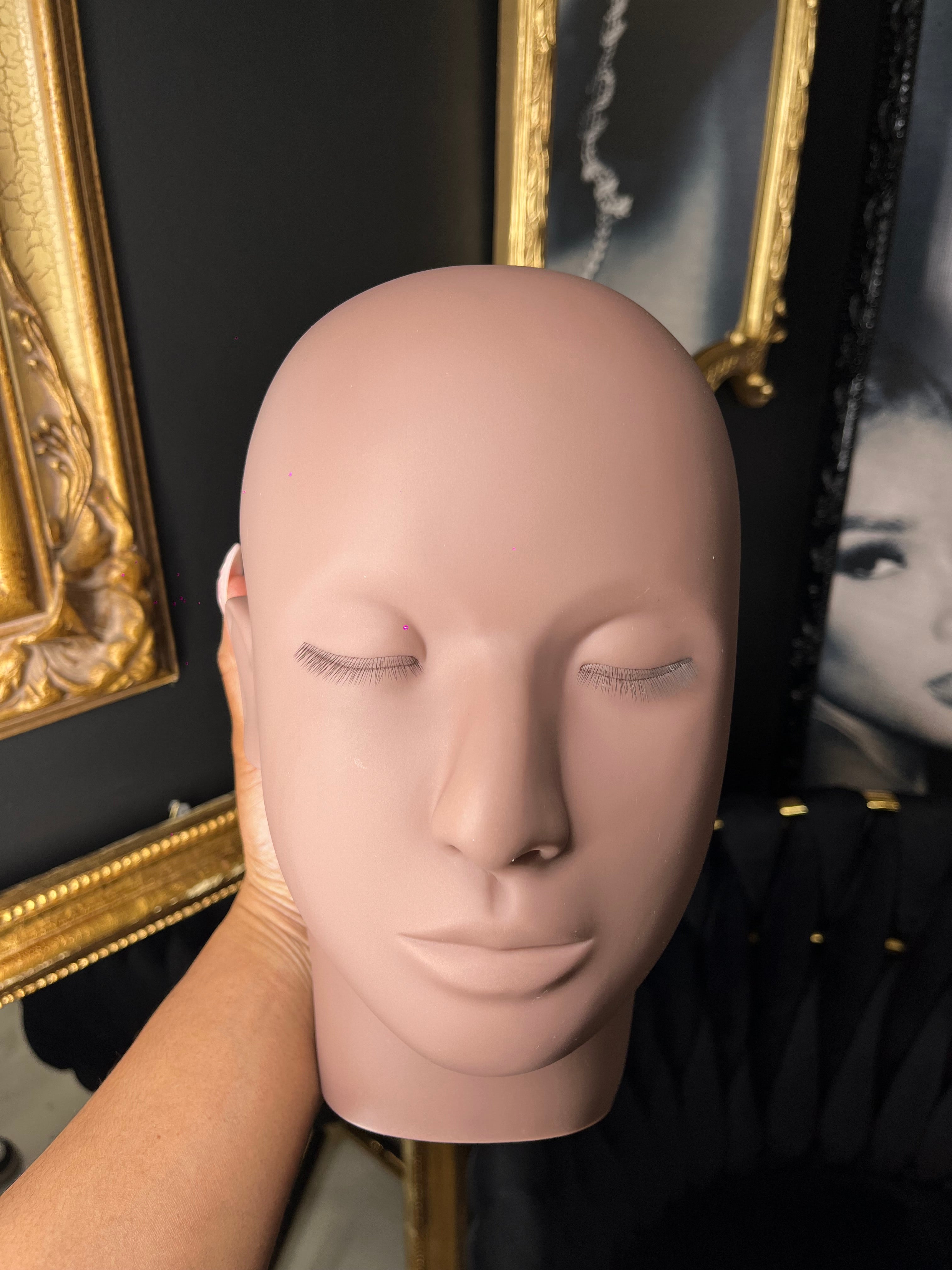 Real Life Mannequin Head