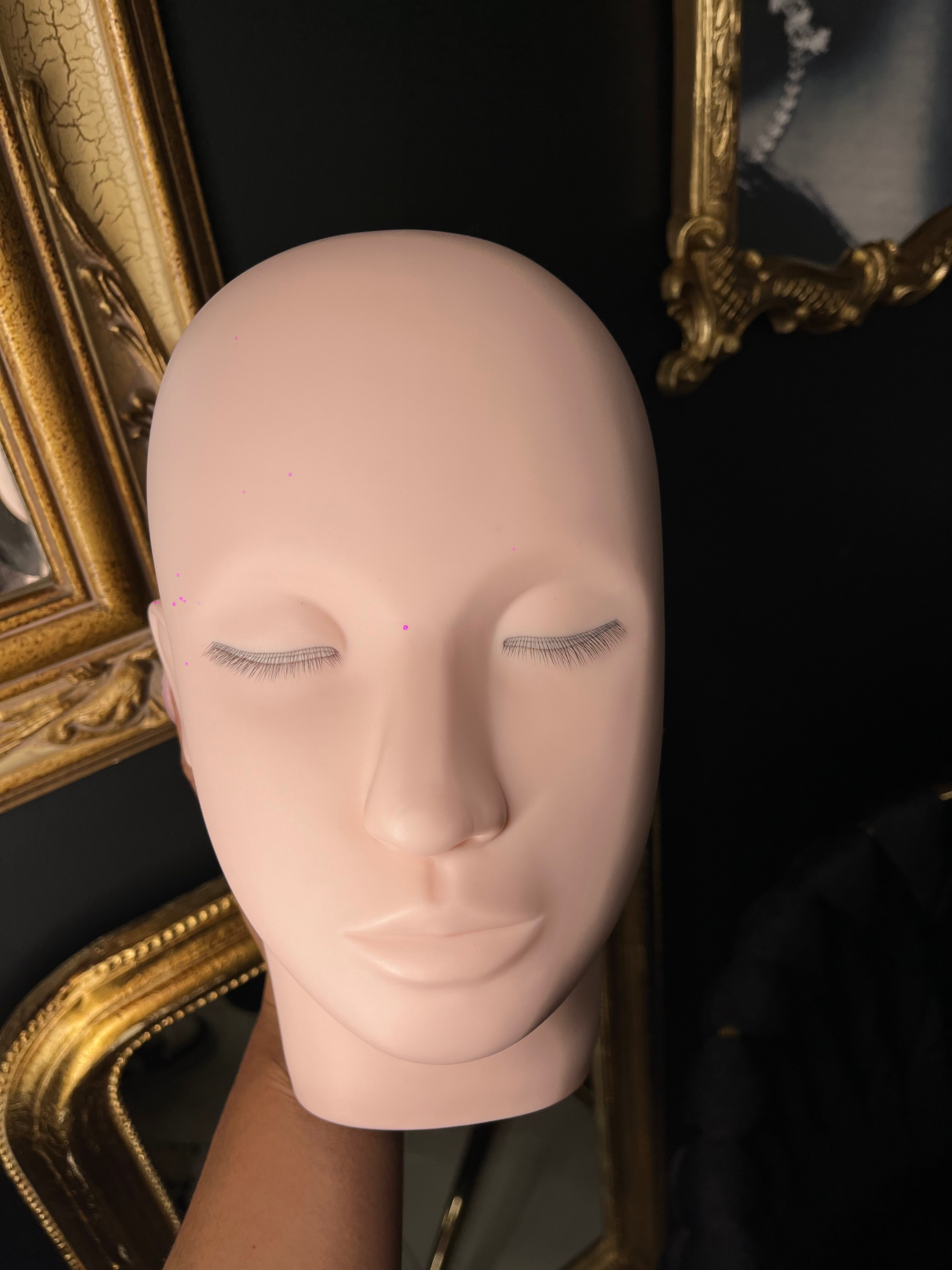Real Life Mannequin Head