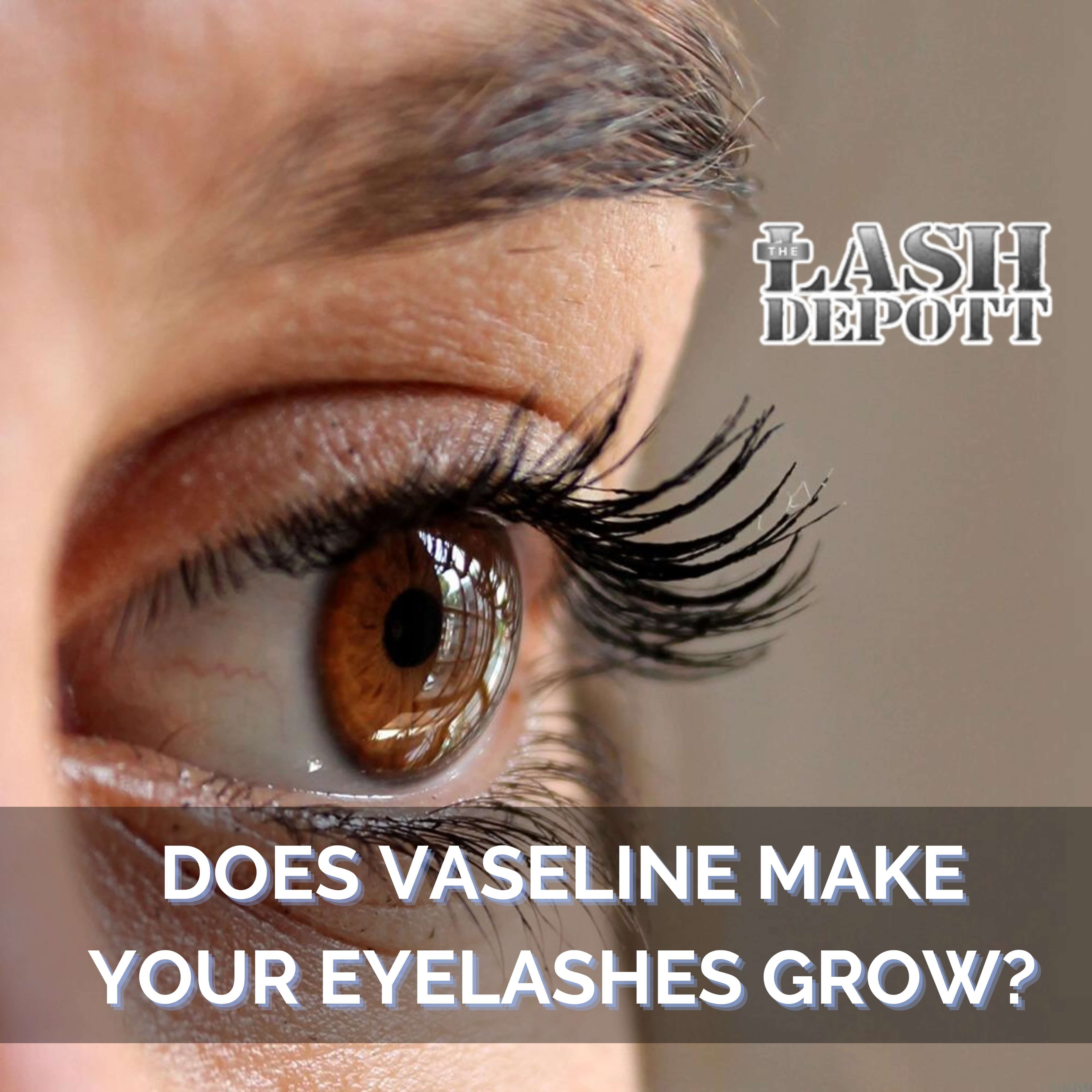 Does Vaseline make your eyelash grow? featured image