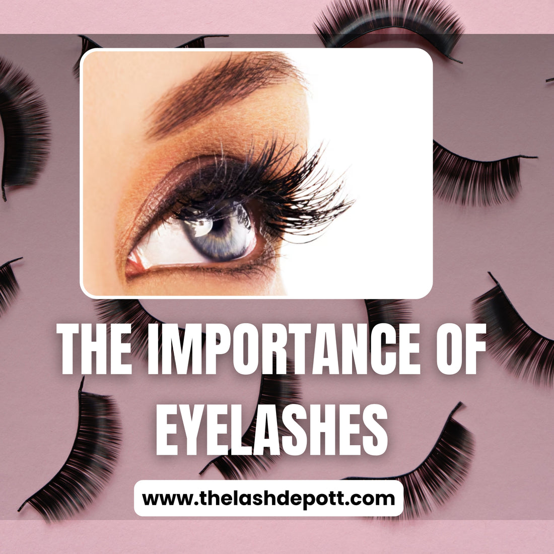 Importance of eyelashes featured image