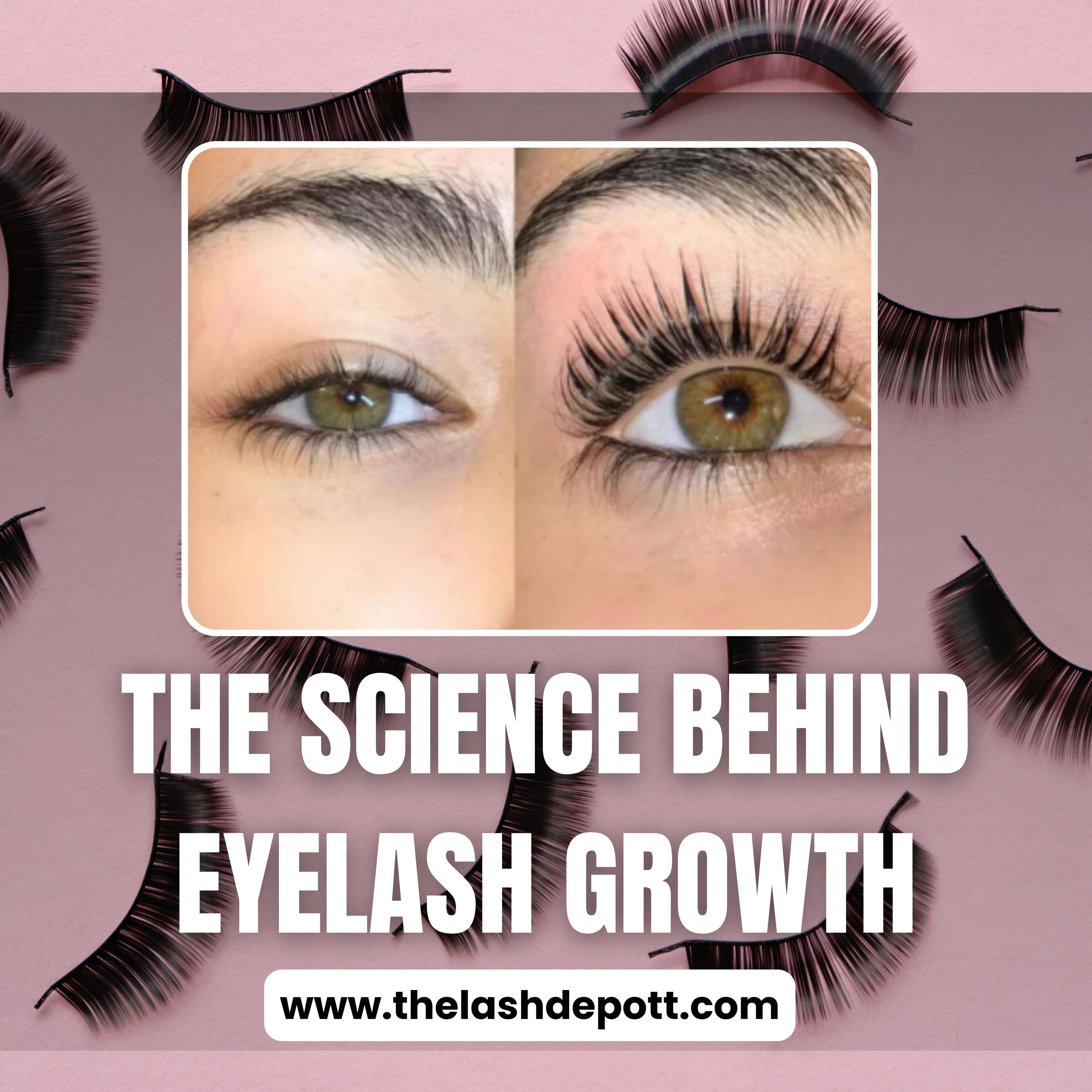 eye lash growth featured image
