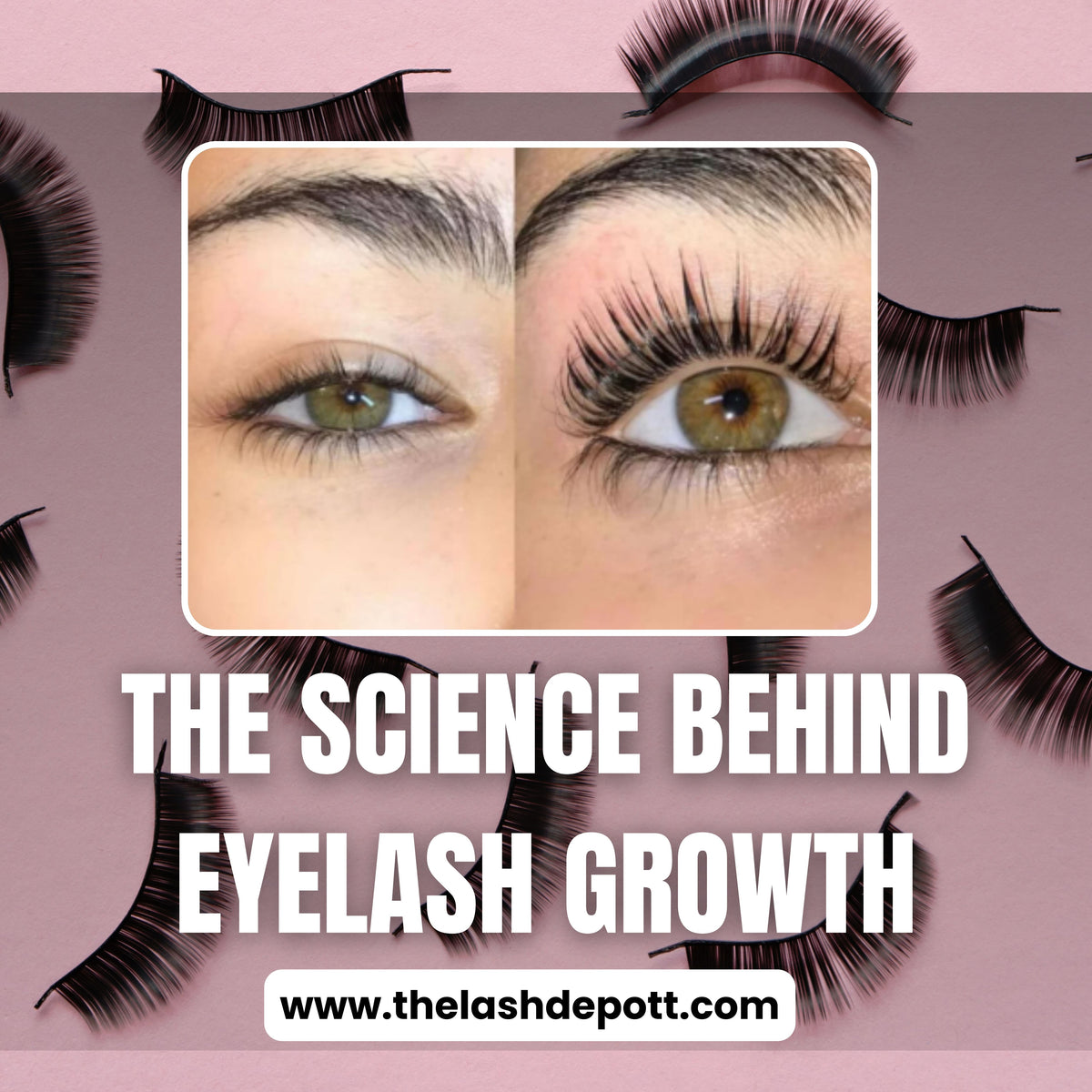 The Science Behind Eyelash Growth – The Lash Depott