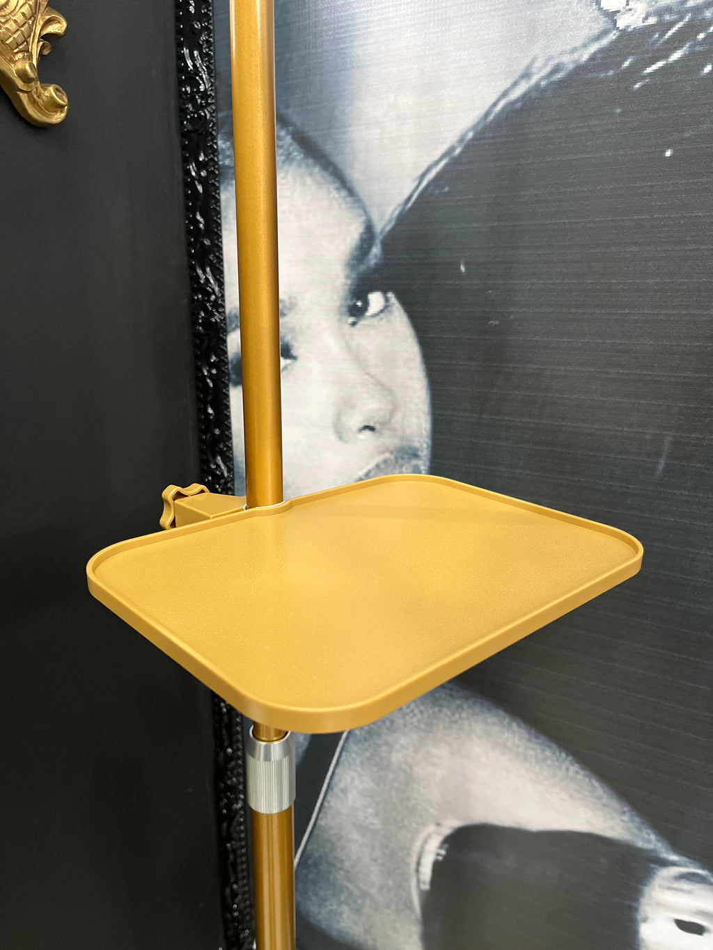Clip on Tray
