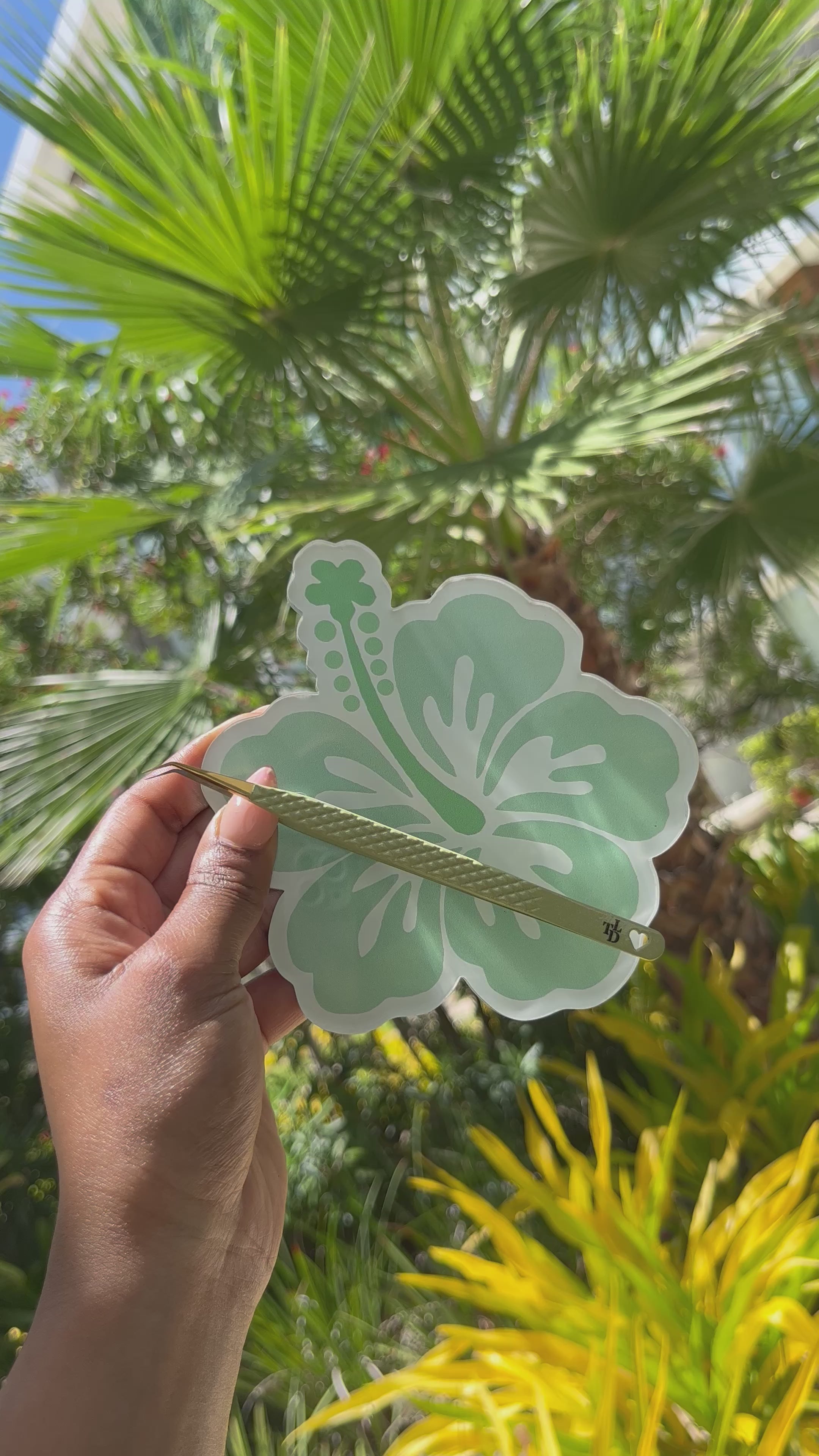 Tropical Tweezers