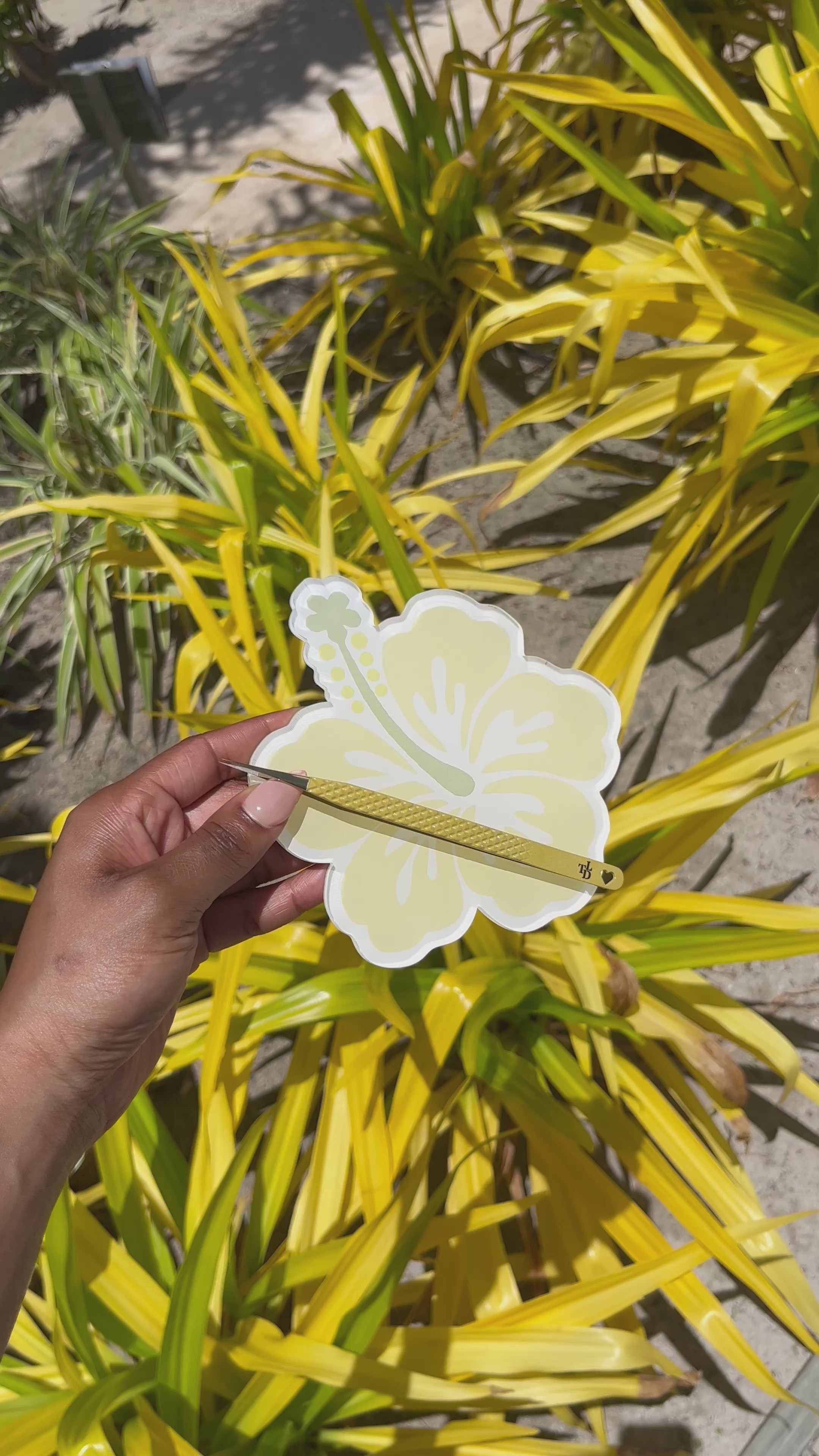 Tropical Tweezers
