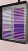 Purple Starburst